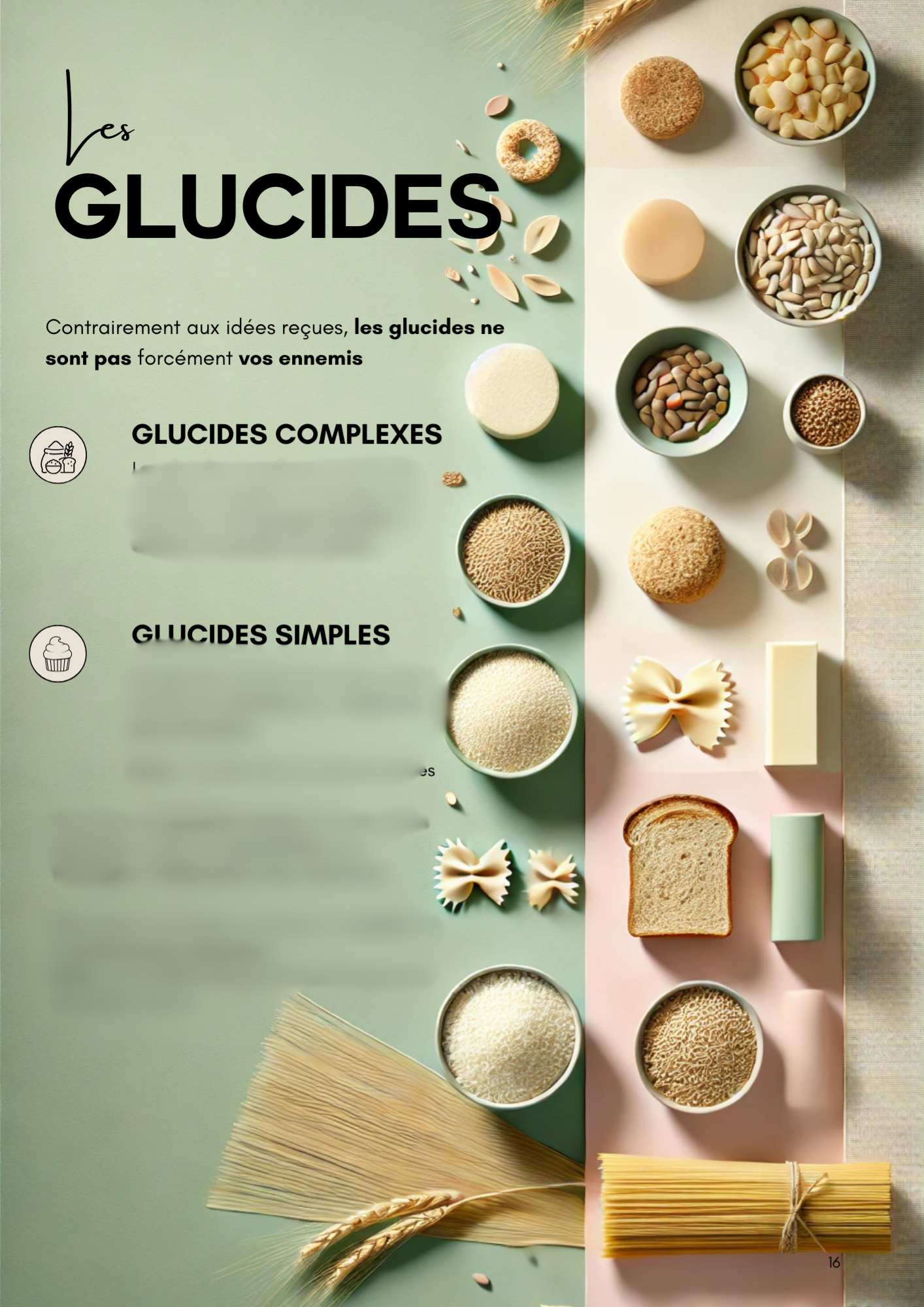 Nutri-sèche 1600 Kcal